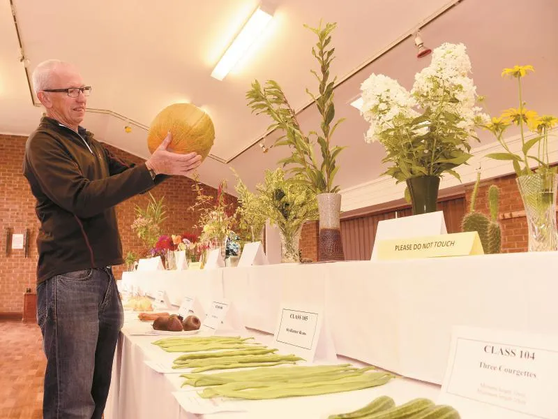Displays and entertainment at Cox Green Village Show