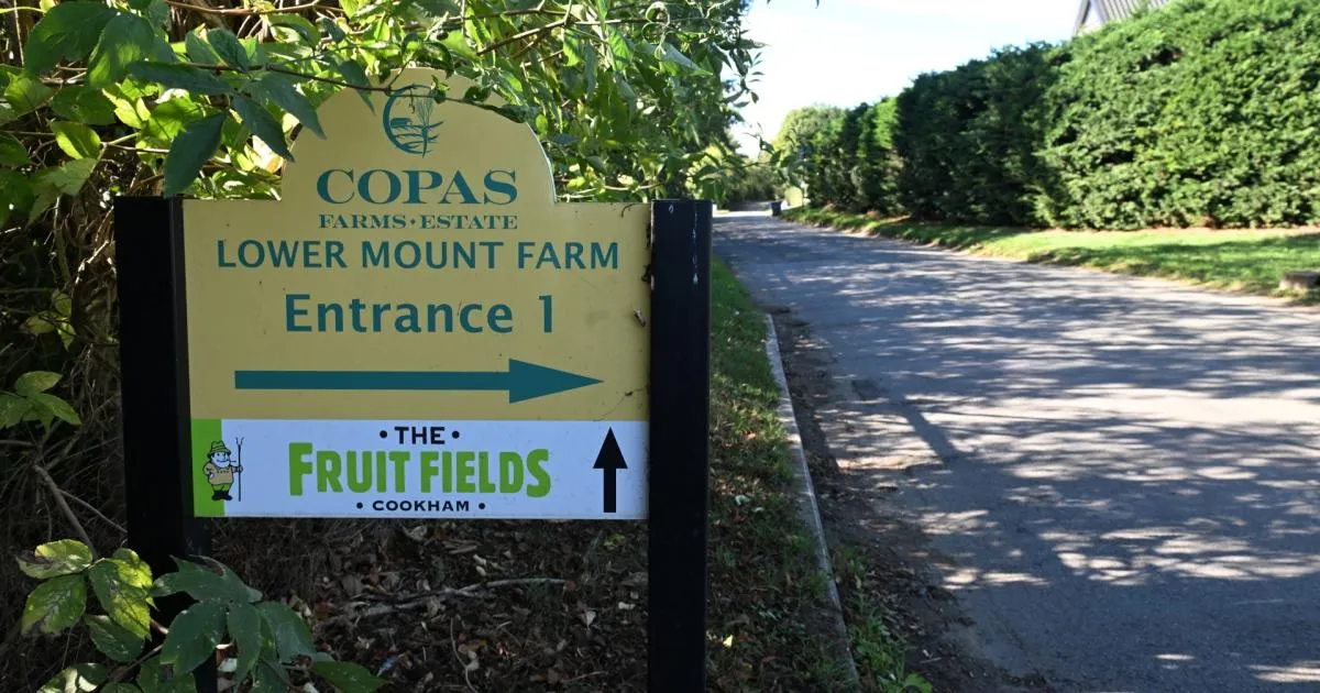 Worry over '16m' tall Cookham data centre and 'smokestack' vents ...