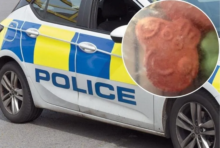 Peppa Pig drug wrap among police seizures as Slough man faces supply ...